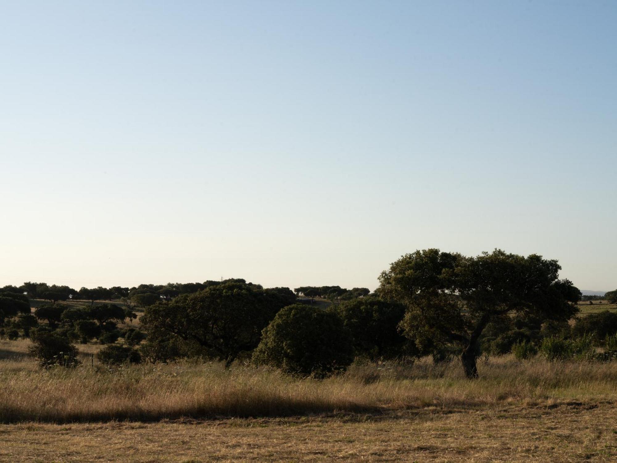Change The World - Herdade Monte Do Peral Montes Juntos Exterior photo